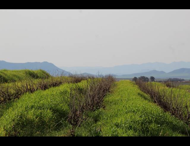 235HA FARM FOR SALE IN MALMESBURY RURAL